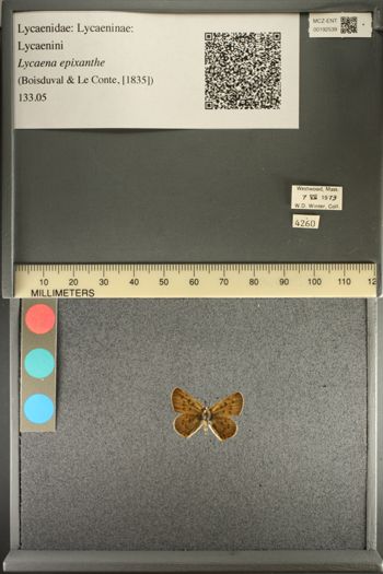 Media type: image;   Entomology 192539